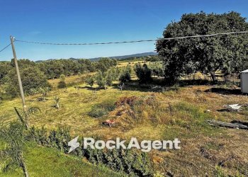 Terreno - Villa via Vicinale Castellaro, Bibbona - photo 30