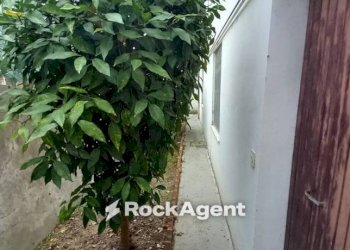 Giardino - Appartamento via Guglielmo Marconi, 18, Trecastelli - foto 30