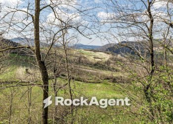 Terreno - Appartamento Frazione Camolino, Montesegale - foto 39