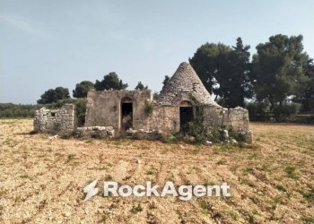 Terreno - Rustic cda Bellasora snc, Conversano - photo 4