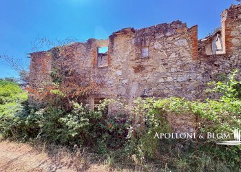 Rustico SR222 Chiantigiana, 30, Castelnuovo Berardenga - foto 3
