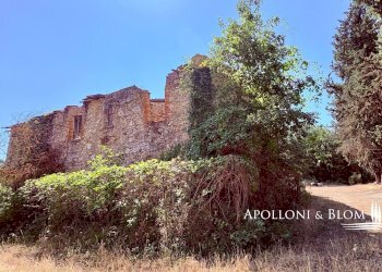 Rustico SR222 Chiantigiana, 30, Castelnuovo Berardenga - foto 4