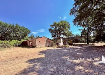 Rustico SR222 Chiantigiana, 30, Castelnuovo Berardenga - foto 5