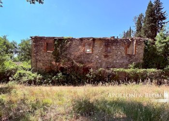 Rustico SR222 Chiantigiana, 30, Castelnuovo Berardenga - foto 7