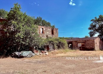 Rustico SR222 Chiantigiana, 30, Castelnuovo Berardenga - foto 8