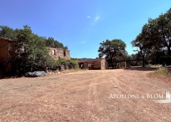 Rustico SR222 Chiantigiana, 30, Castelnuovo Berardenga - foto 11