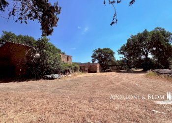 Rustico SR222 Chiantigiana, 30, Castelnuovo Berardenga - foto 12