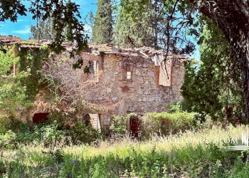 Rustico SR222 Chiantigiana, 30, Castelnuovo Berardenga - foto 13