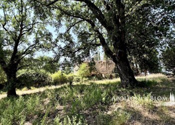 Rustico SR222 Chiantigiana, 30, Castelnuovo Berardenga - foto 17