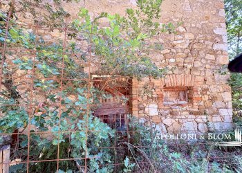 Rustico SR222 Chiantigiana, 30, Castelnuovo Berardenga - foto 18