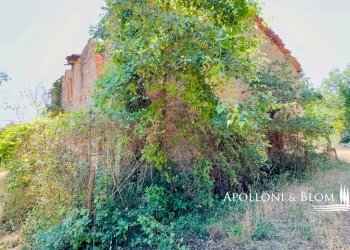 Rustico SR222 Chiantigiana, 30, Castelnuovo Berardenga - foto 19