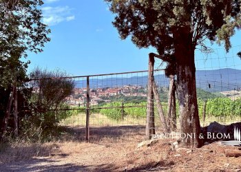 Rustico SR222 Chiantigiana, 30, Castelnuovo Berardenga - foto 20