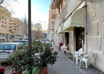 Commercial Activity Via Cecchi, Genova (neighborhood Foce) - photo 7