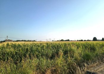 Terreno agricolo Via Vittorio Emanuele, Bernate Ticino - foto 3