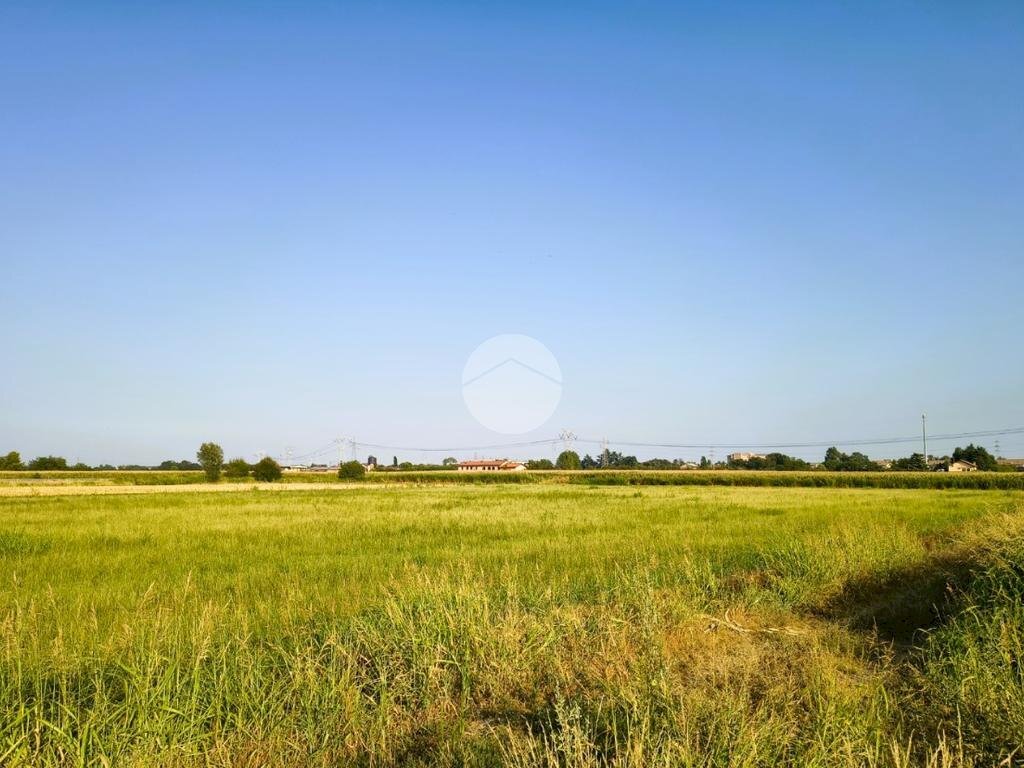 Terreno agricolo Piazza italia, Marcallo con Casone - foto 3