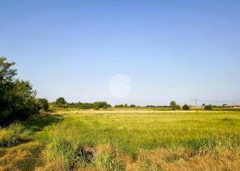 Terreno agricolo Piazza italia, Marcallo con Casone - foto 2