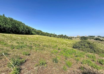 Apartment Castelfidardo - photo 9