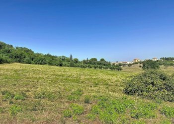 Apartment Castelfidardo - photo 11