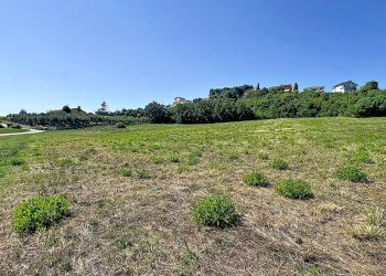 Apartment Castelfidardo - photo 15