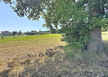 Apartment Castelfidardo - photo 17