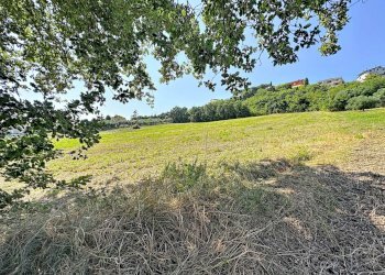 Apartment Castelfidardo - photo 18