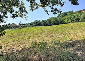 Apartment Castelfidardo - photo 19