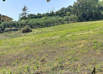 Apartment Castelfidardo - photo 20