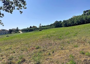 Apartment Castelfidardo - photo 21