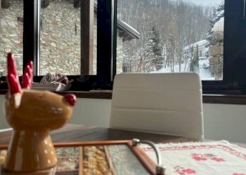 Two-room apartment Corso Nizza 160, Limone Piemonte - photo 15