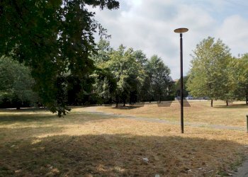 Giardino - Trilocale Via Settembrini
 
7/a, San Giuliano Milanese - foto 21