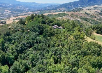 Vista - Casa indipendente via Massamanente Torre, Sogliano al Rubicone - foto 14