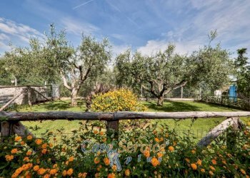 Terreno - Villa viale 1 Maggio, Marino - photo 44