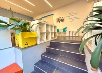 Interno non residenziale - Appartamento via Principe Tommaso, 4, Torino (zona San Salvario) - foto 3