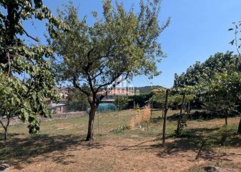 Terreno - Casa indipendente via Conte Michele Cagnis, 45, Lessolo - foto 4