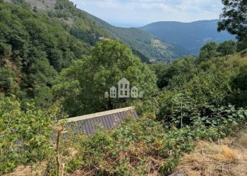 Terreno - Rustic Frazione Avranco, snc, Valchiusa - photo 13