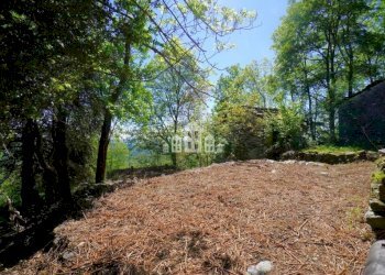 Terreno - Rustic località Canavais, snc, Castelnuovo Nigra - photo 24