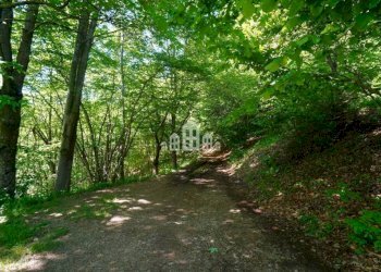 Terreno - Rustic località Canavais, snc, Castelnuovo Nigra - photo 29