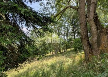 Terreno - Rustic Regione San Giacomo, snc, Andrate - photo 21