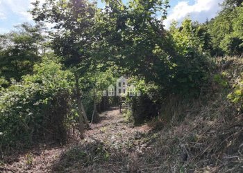 Terreno - Rustic via chignolo, 5, Vidracco - photo 23