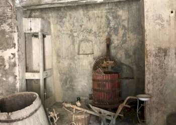 Cantina - Rustic via Poma, Cassinasco - photo 7
