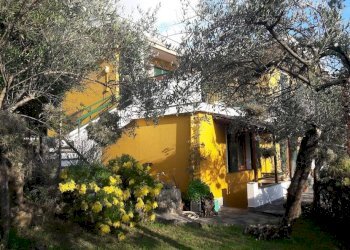 Giardino - Villa Zoagli - photo 13