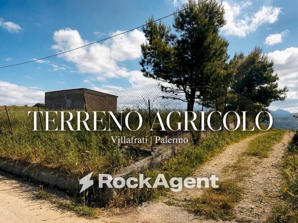 Terreno - Terreno agricolo contrada Scarpa, Baucina - foto 2