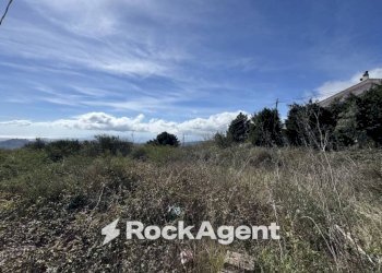 Terreno - Building land via Paolo Emilio Tulelli, Catanzaro - photo 26