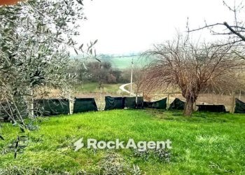 Terreno - Rustic Frazione Magnadorsa, 122, Arcevia - photo 30