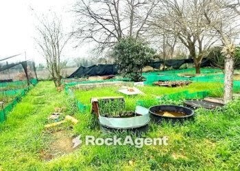 Terreno - Rustic Frazione Magnadorsa, 122, Arcevia - photo 31