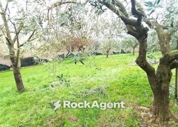 Terreno - Rustic Frazione Magnadorsa, 122, Arcevia - photo 33