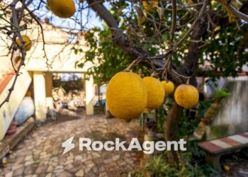 Giardino - Villa via Angitola, 56, Catanzaro - photo 29
