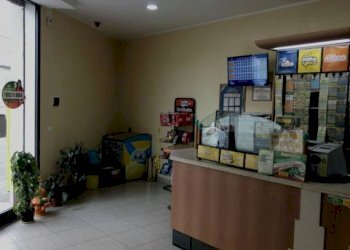 Ufficio - Bar - Tabacchi - Ricevitoria Pescara - foto 3