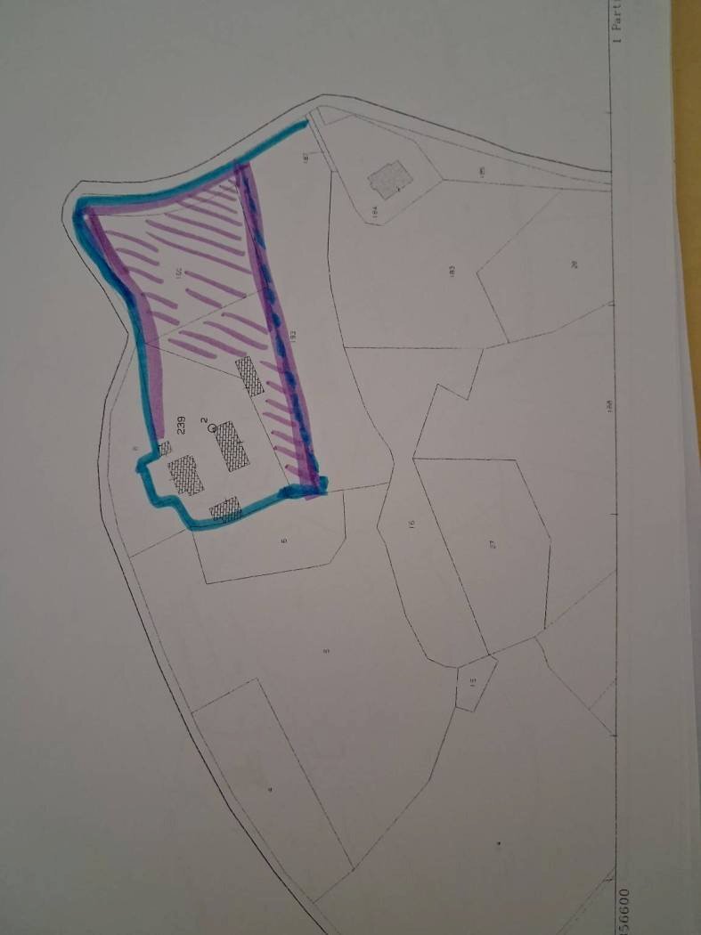 Rustic Frazione Magnadorsa, Arcevia - floor plans 1