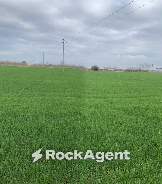Terreno - Building land via Grazia Deledda, Canneto sull'Oglio - photo 1
